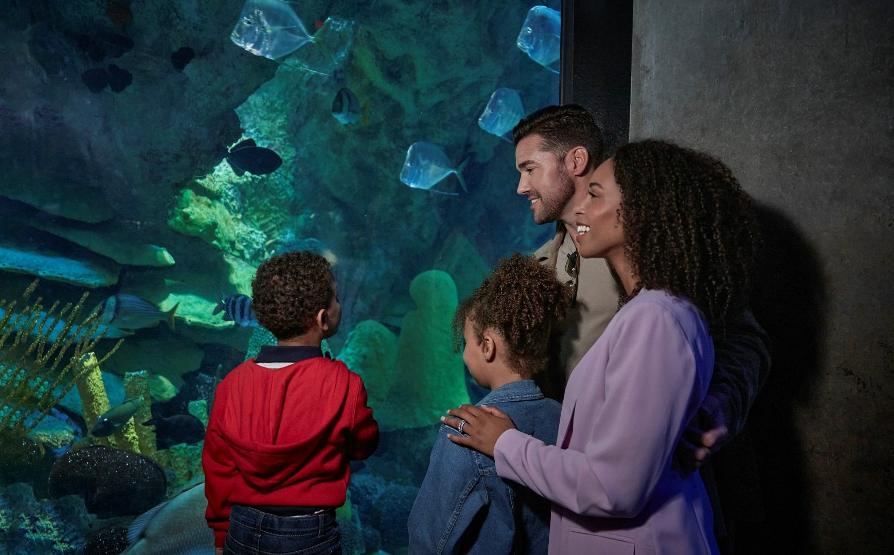 Family Aquarium The Dagny Boston