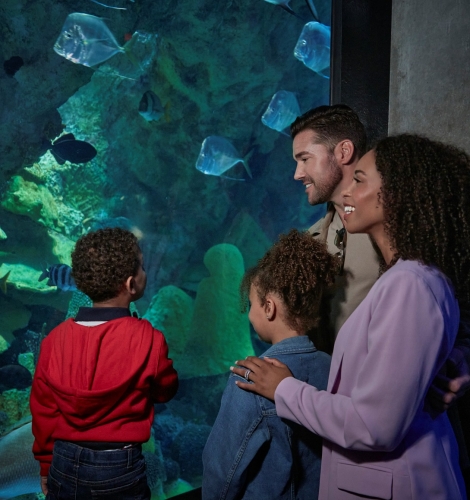 Family Getaway with an Aquarium Adventure